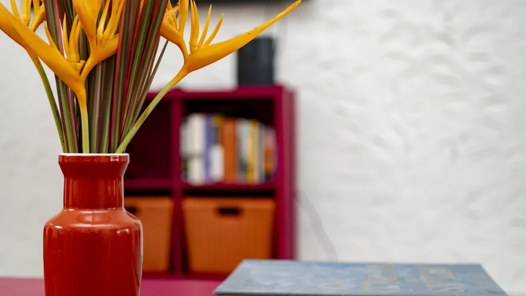 Mount-Cinnamon-Suite-King-Bed-Bookshelf