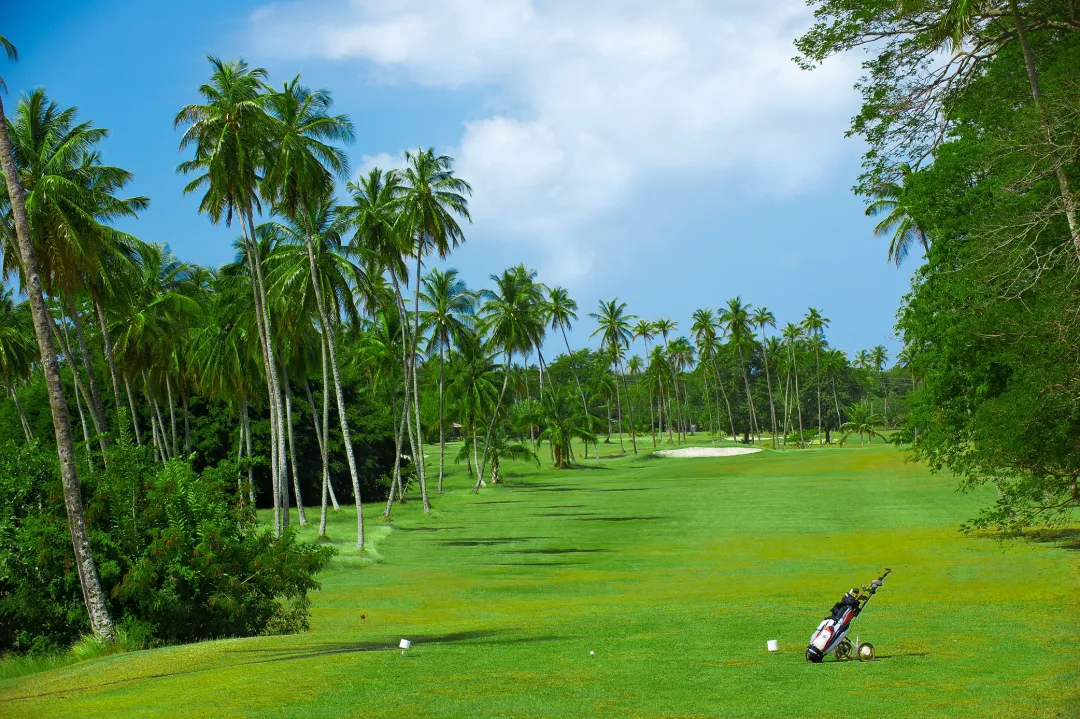 Mount-Irvine-Bay-Resort-Golf