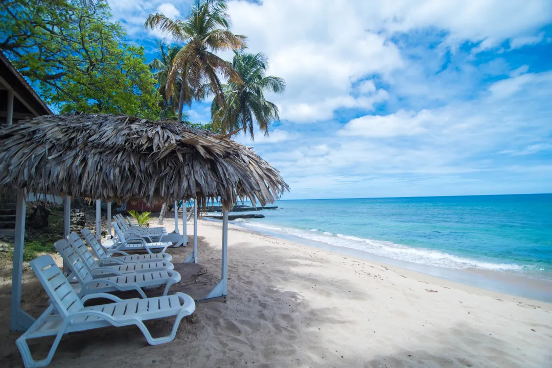 Tropikist Beach Hotel -  Beach