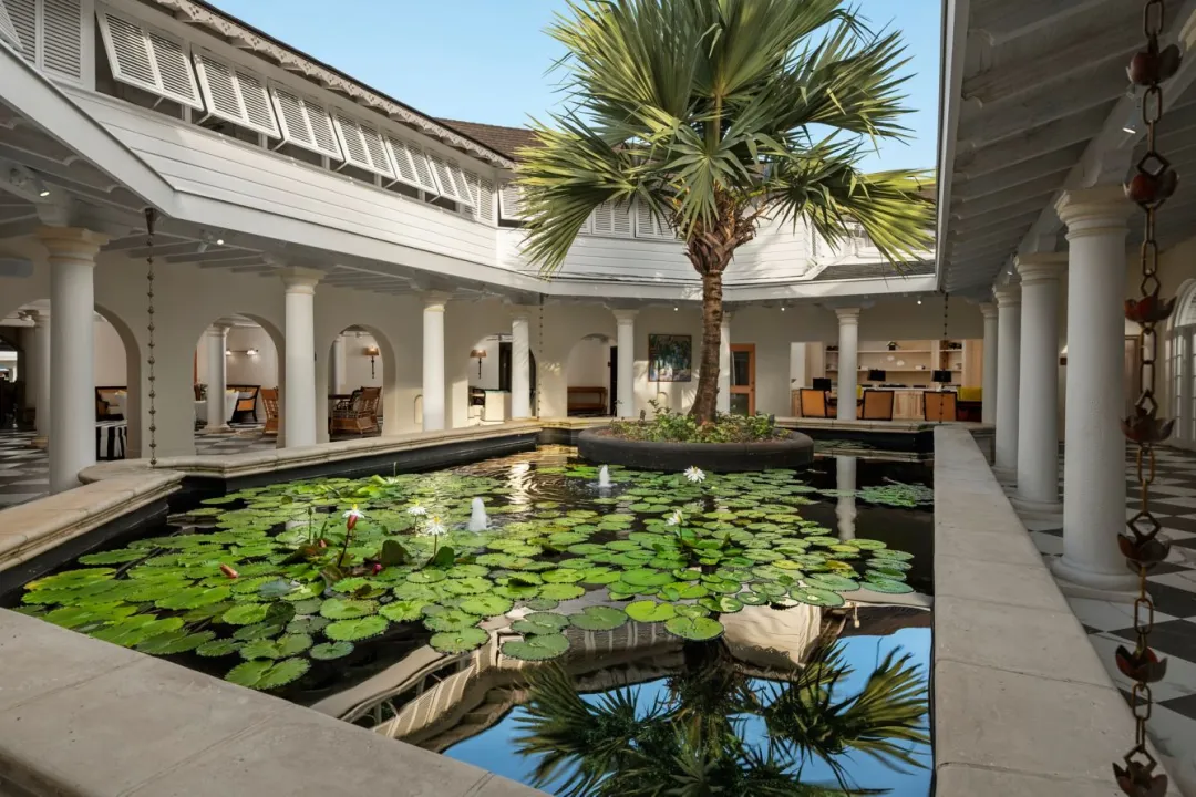 Colony-Club-Lily-Pond