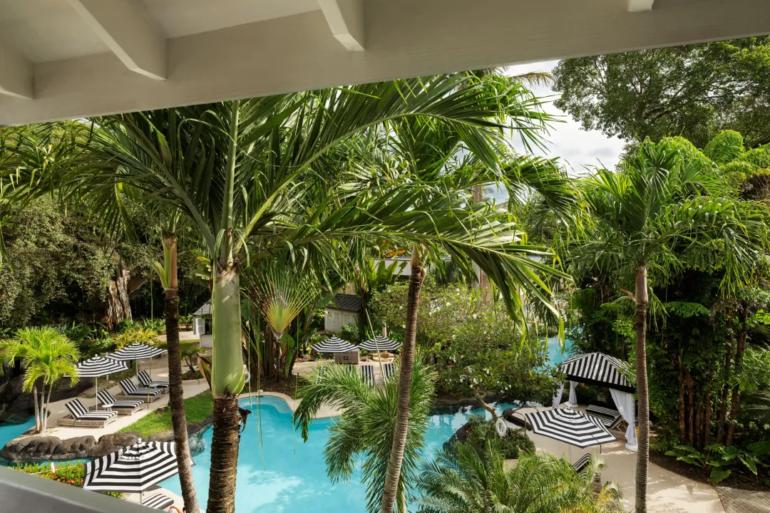 Colony Club - Junior Suite Pool View