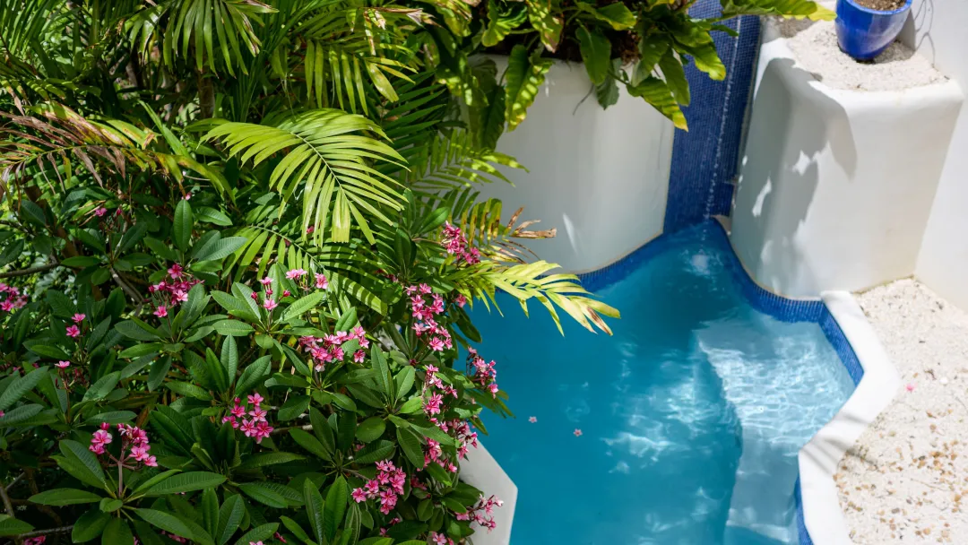 The-House-Barbados-Luxury-Garden-View-Suite-Plunge-Pool