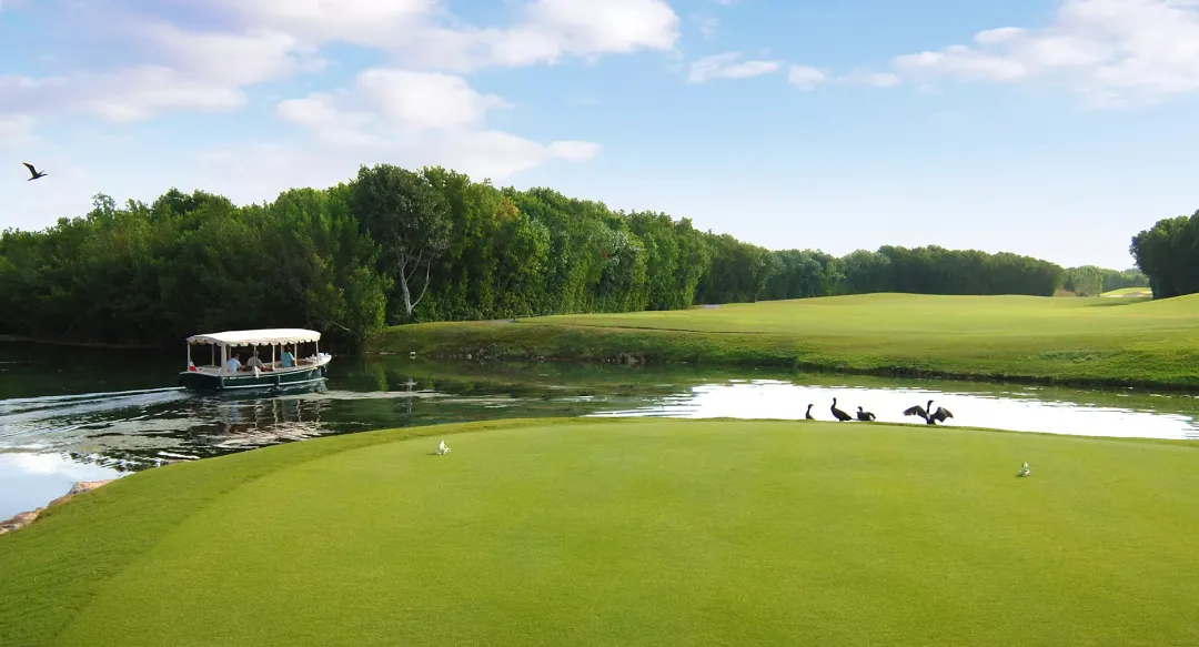Fairmont Mayakoba - Golf Course