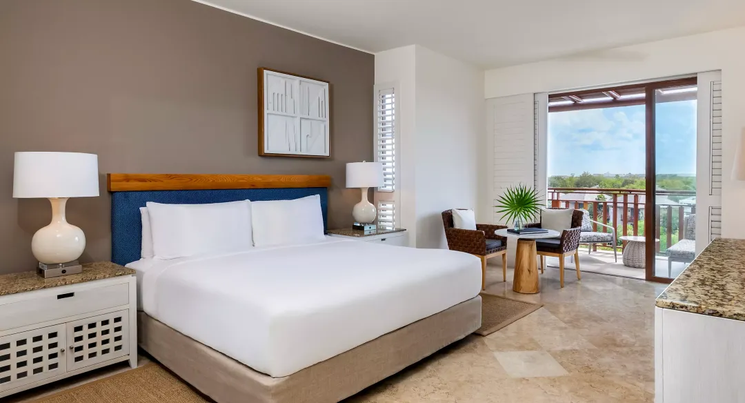 Fairmont View Room - King Bed