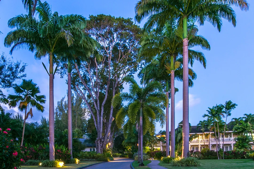 Coral-Reef-Club-Gardens