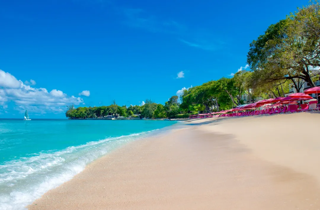 Sandy-Lane-Beach-beds