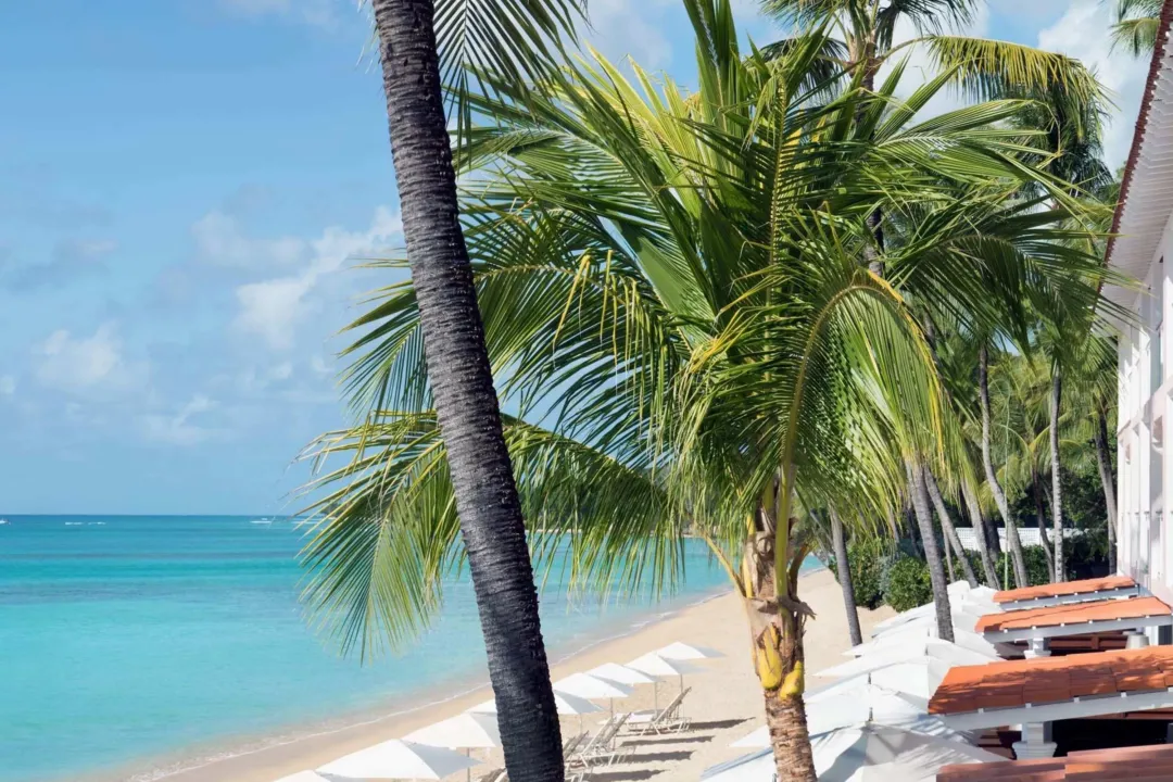 Fairmont-Royal-Pavilion-Beach-Trees