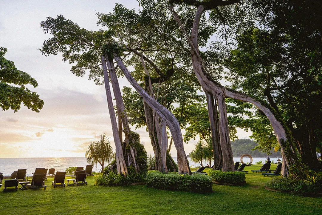 Khao-Lak-Merlin-Tropical-Garden