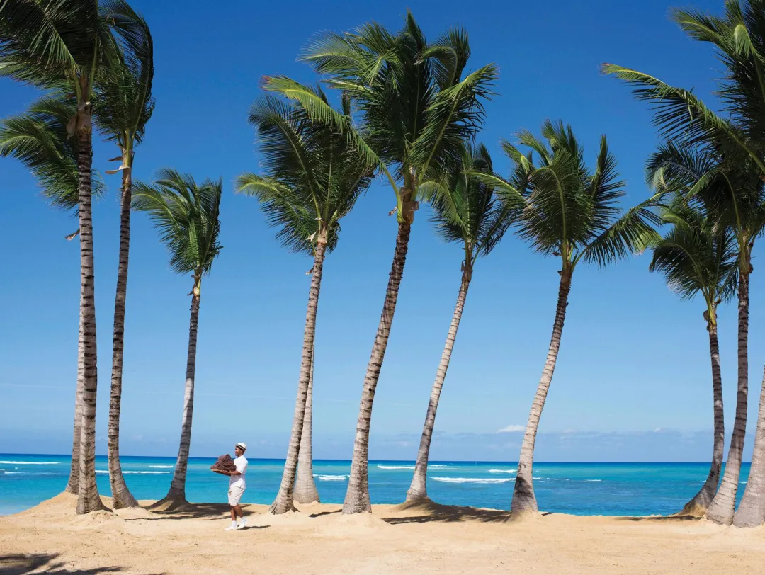 Odysseys Travel - Excellence El Carmen - Beach View