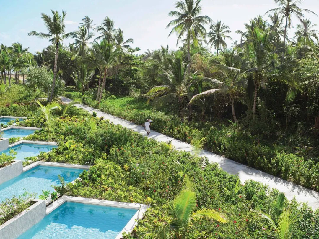 Odysseys Travel - Excellence El Carmen - Junior Suite with Private Pool - Pool with Tropical View
