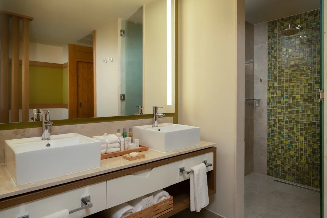 Odysseys Travel - Dreams Onyx - Premium Junior Suite Tropical View - Bathroom