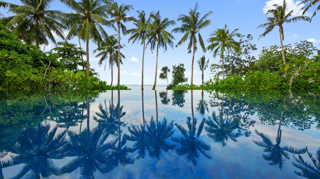 The-Residence-Bintan-Infinity-Pool