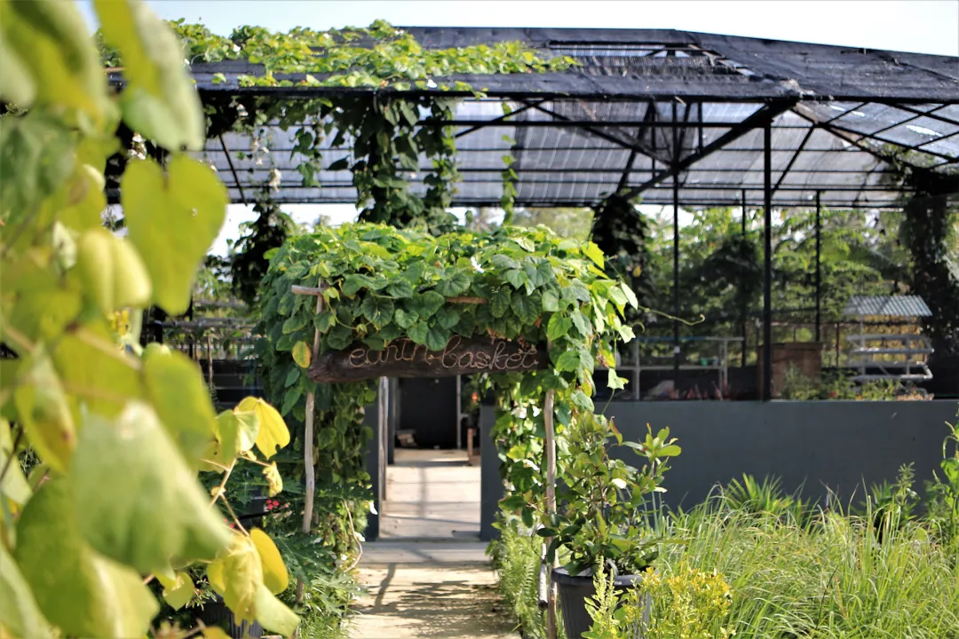 The-Residence-Bintan-Earth-Basket