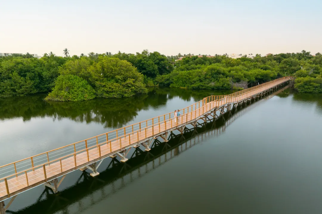Dreams Royal Beach Punta Cana - Mangrove Aerial