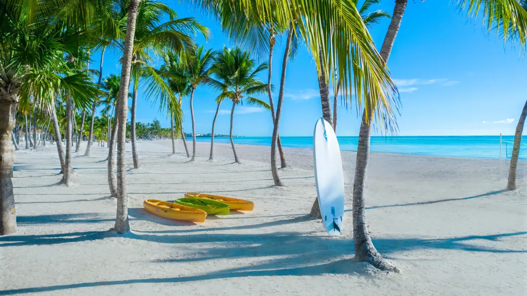 Hyatt Zilara Cap Cana - Beach View