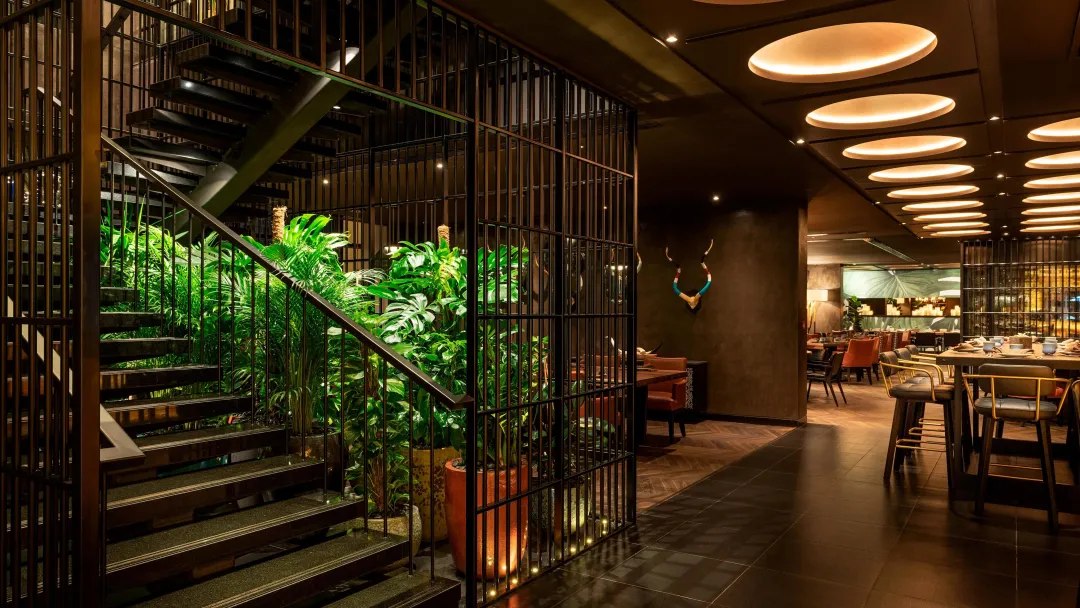 Grosvenor-House-Toro-Toro