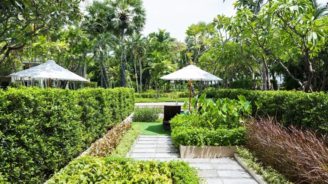 Hyatt-Regency-Hua-Hin-Pool-Access-Room-Pool-Access-Garden