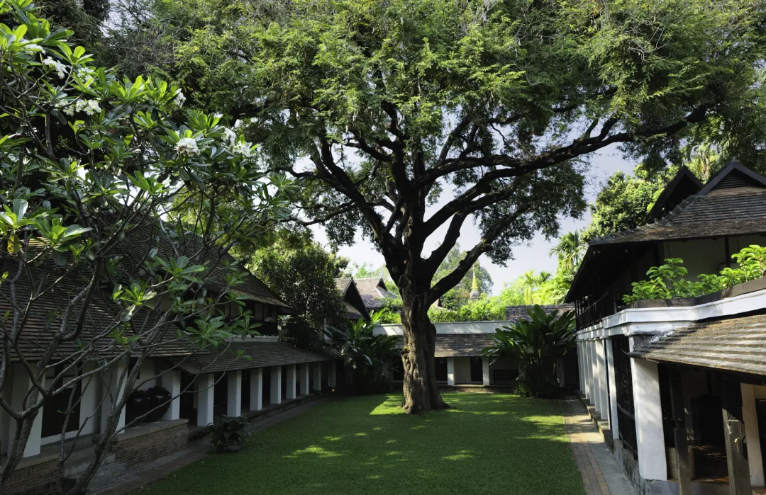 Tamarind Village Chiang Mai - Peaceful Tamarind Courtyard
