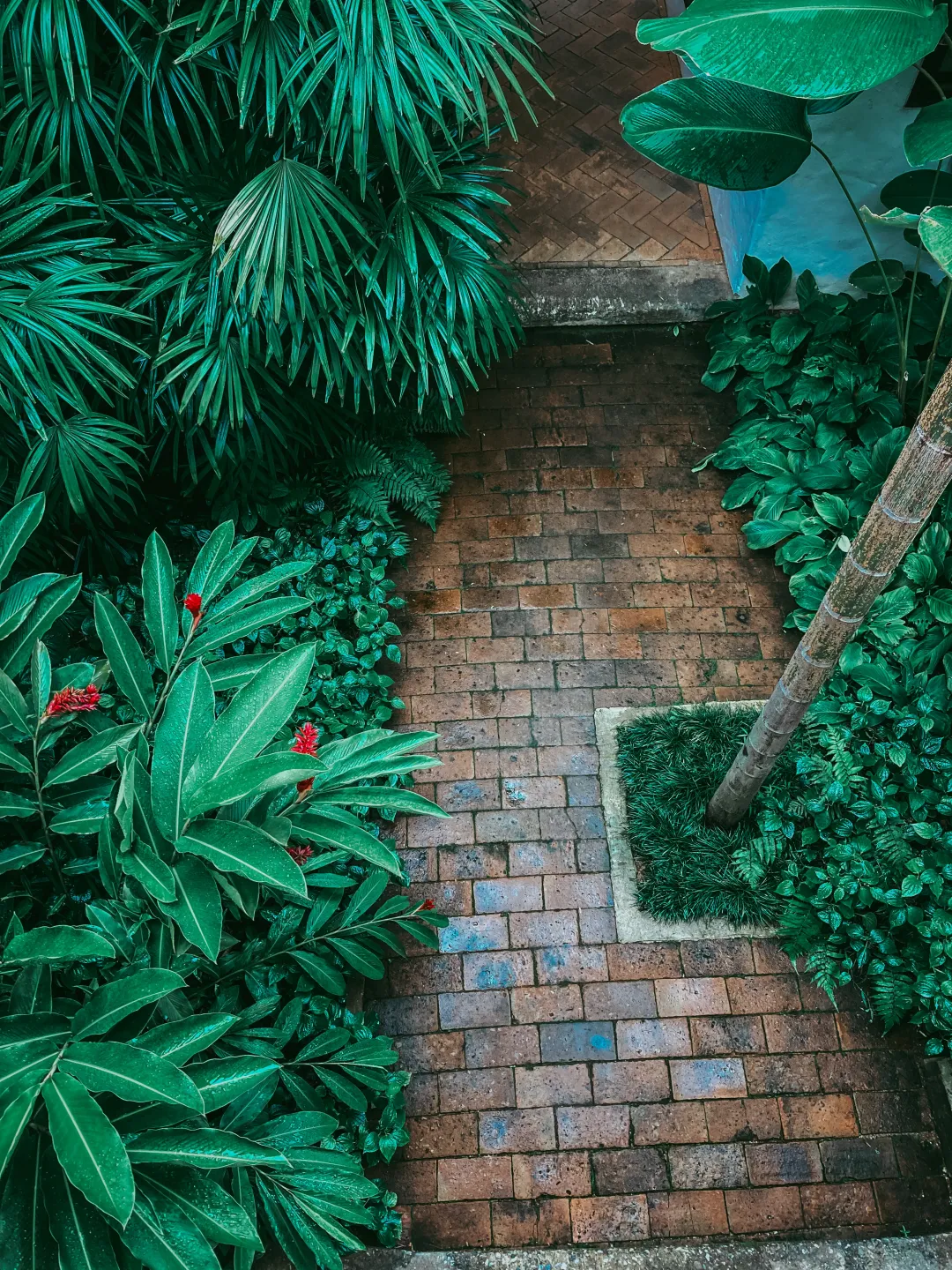 Tamarind Village Chiang Mai - Garden Area