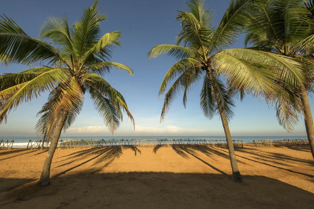 Club Hotel Dolphin - Beach