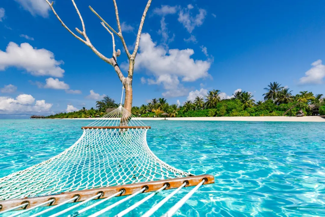 Lux South Ari Atoll  -Hammock