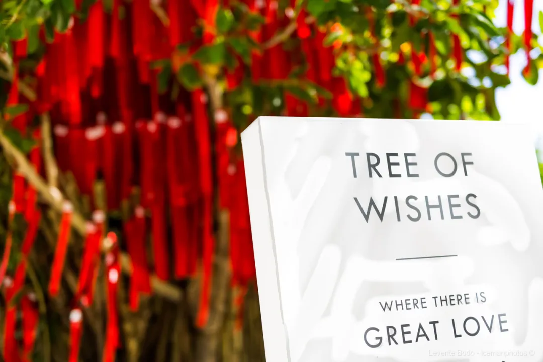 Lux South Ari Atoll  - Tree of Wishes