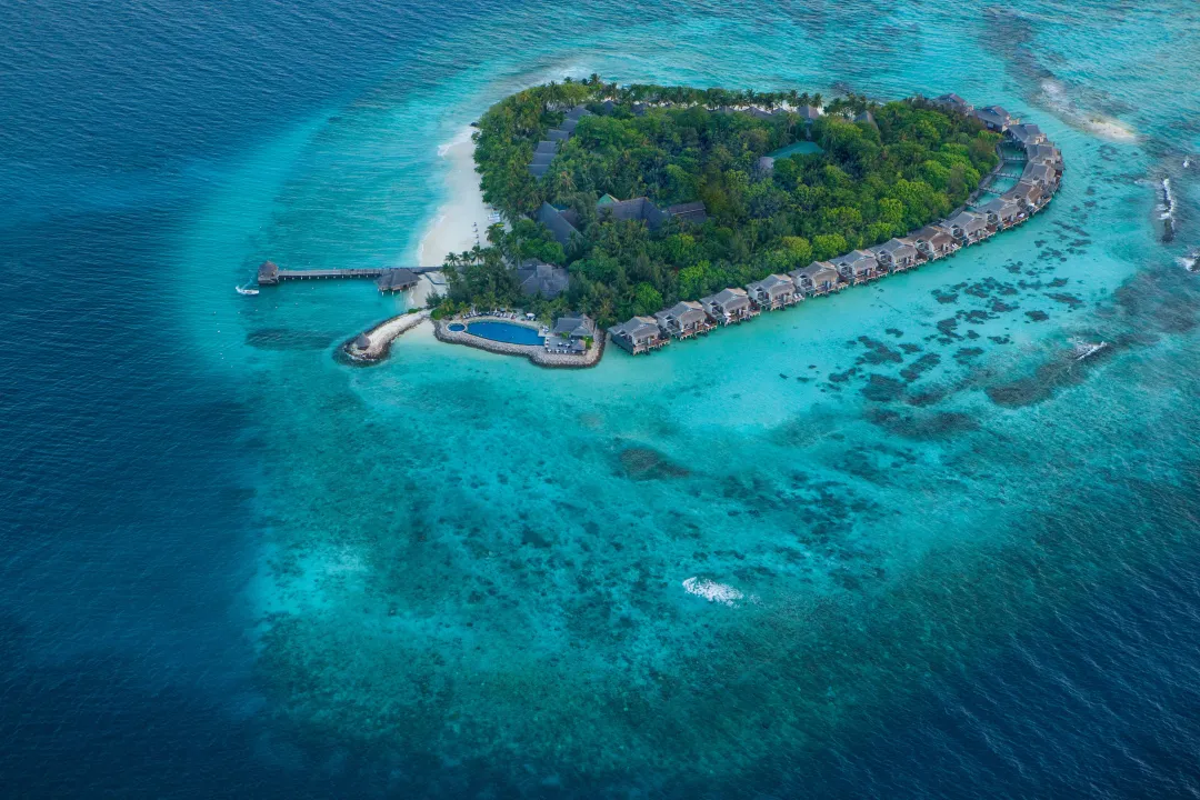 Taj Coral Reef Resort and Spa Maldives - Island Aerial View
