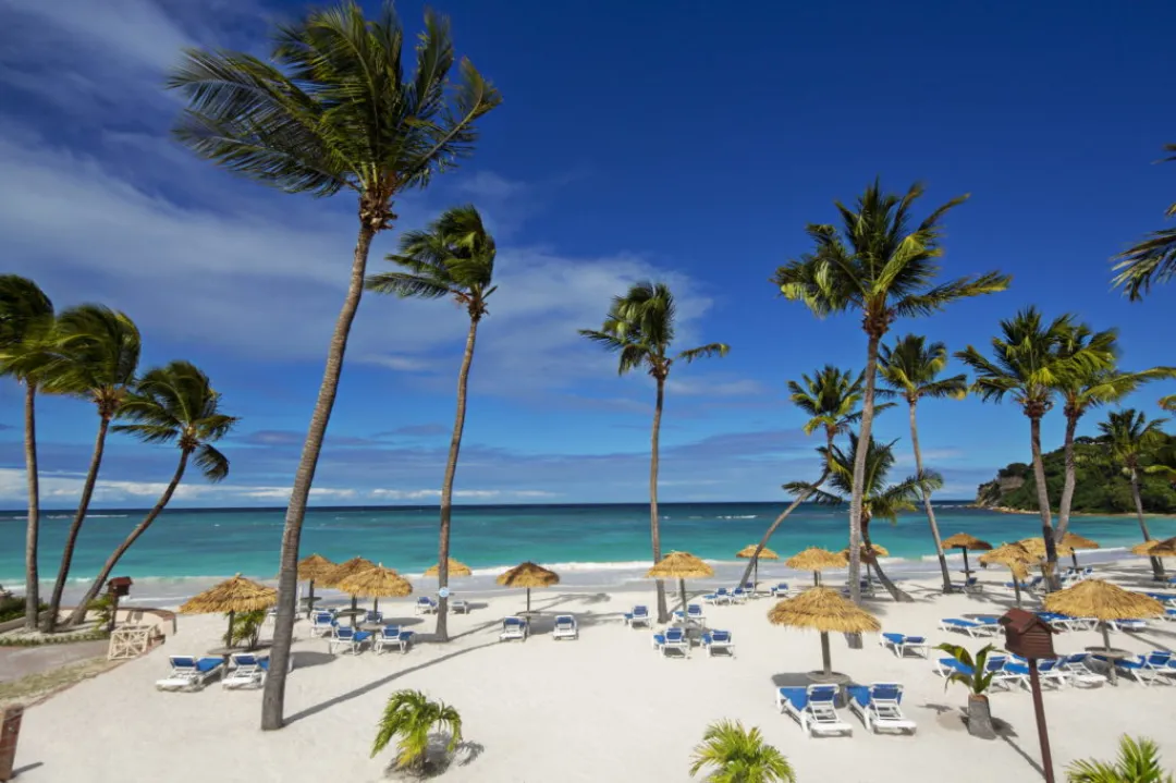 Pineapple-Beach-Club-Beach-Beds