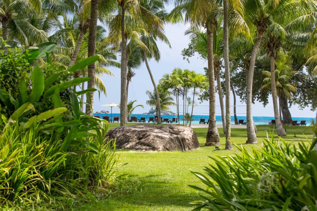 Paradise-Sun-Sefacing-Garden