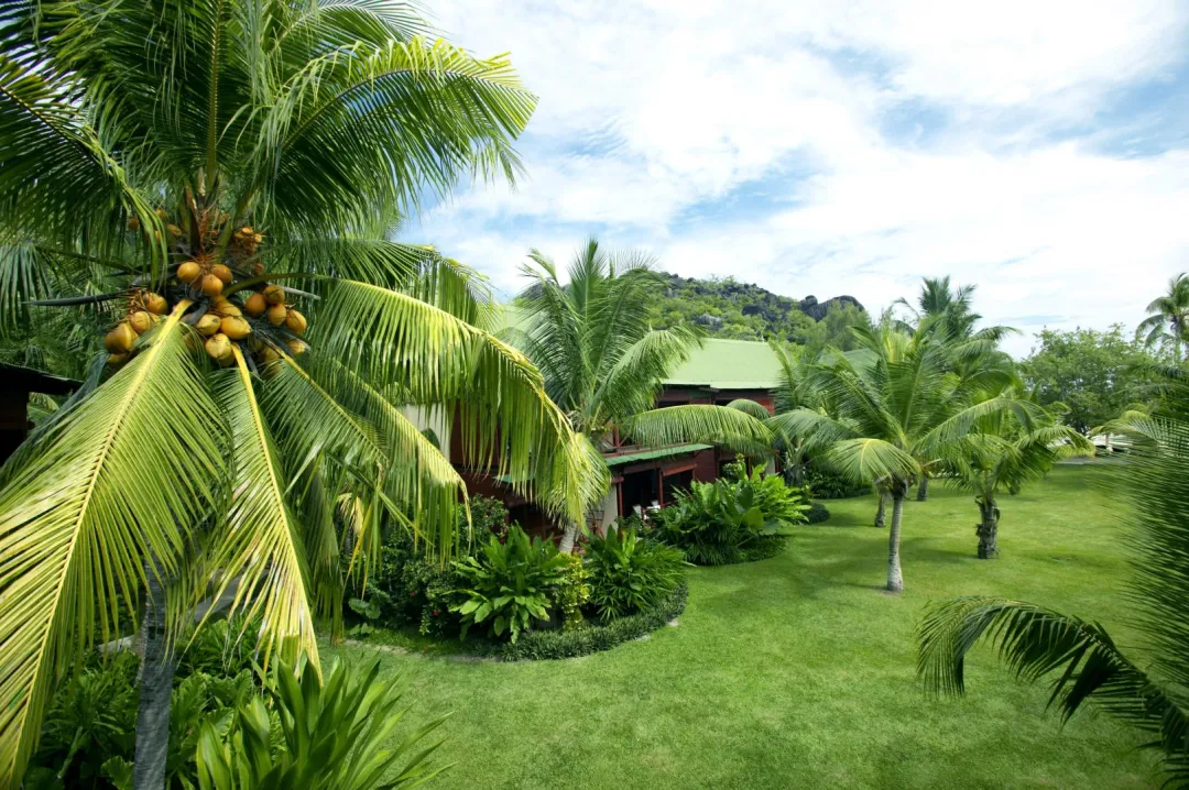 Paradise-Sun-Garden