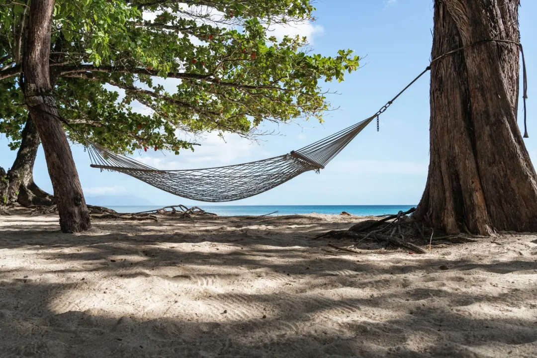Story-Seychelles-Beach-Hammock