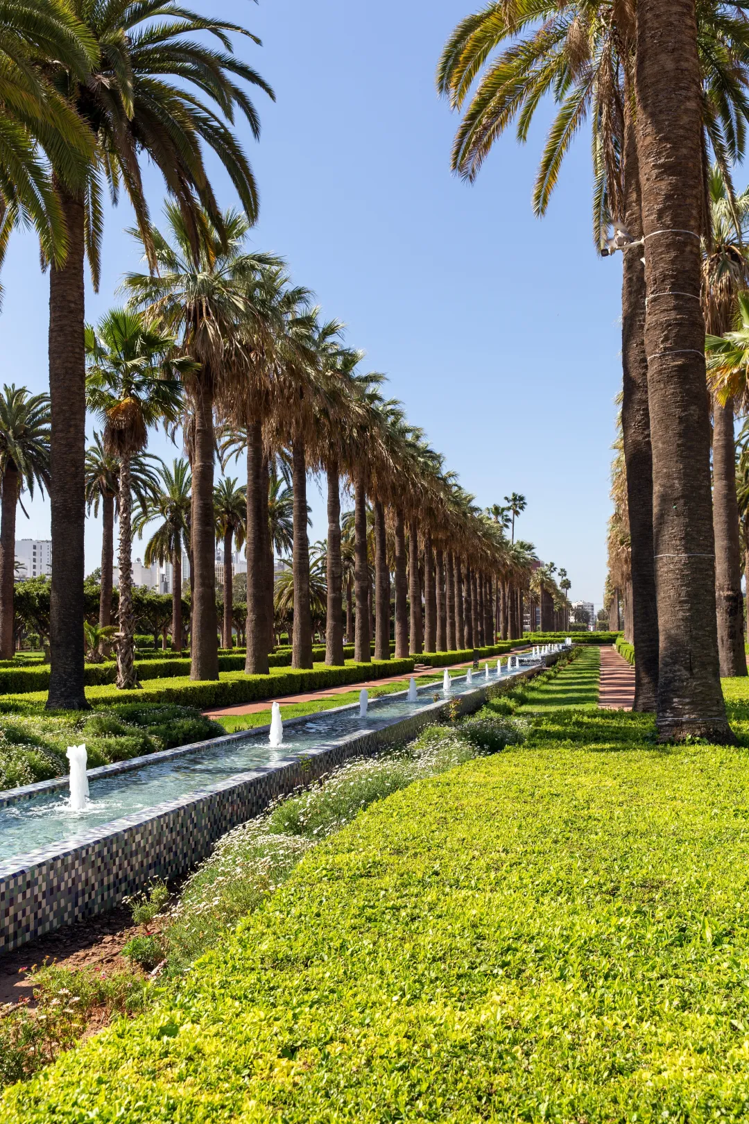 Fountain among palm trees in a park Casablanca