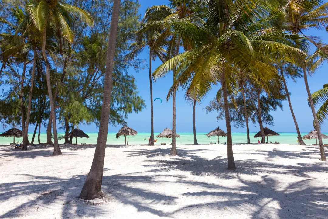 White Sandy Beach With Palm Trees Paje Zanzibar