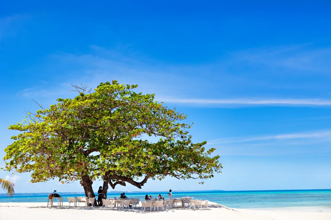 Bawe Island  -Beach Side Lunch Aeria