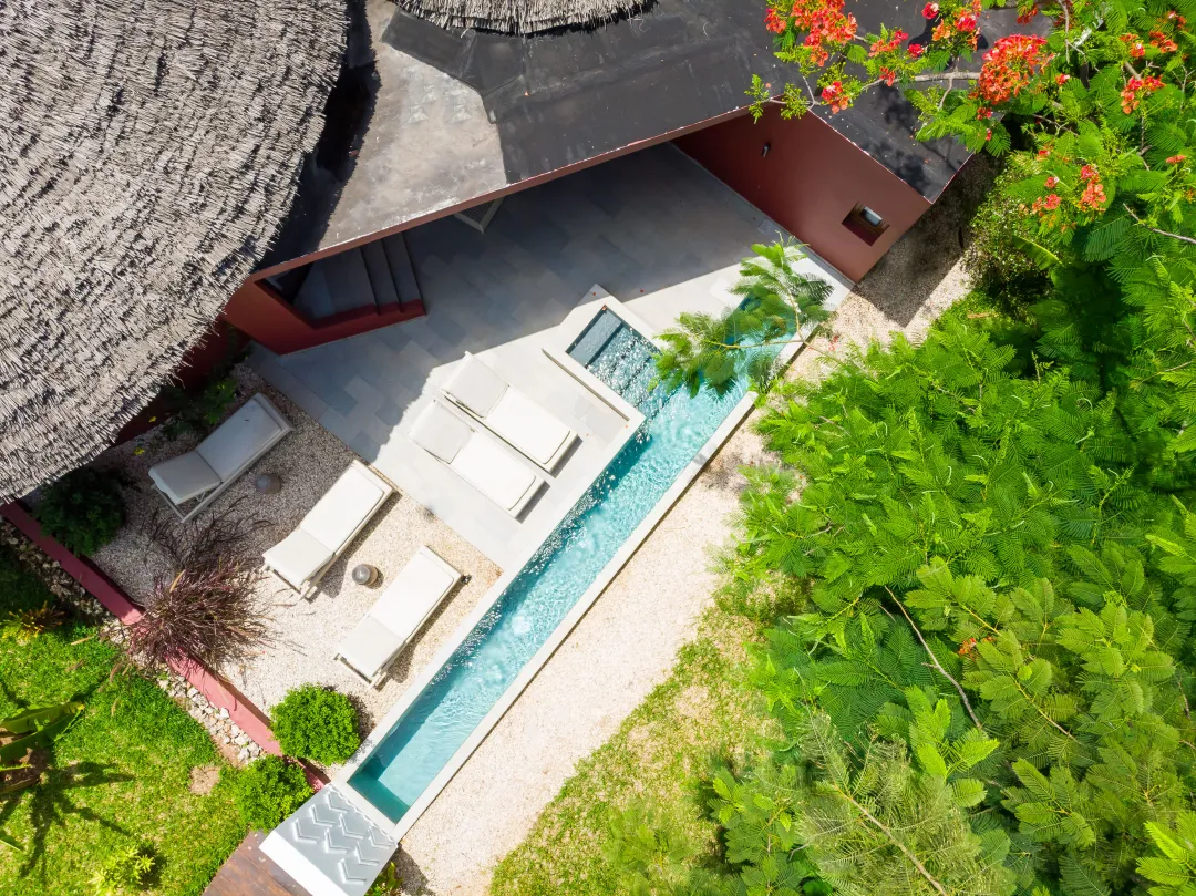 Jungle Villa - Pool Over View