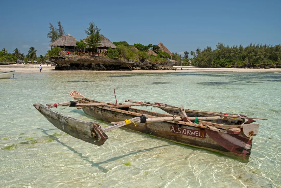 The Island Pongwe -Boat Experiance