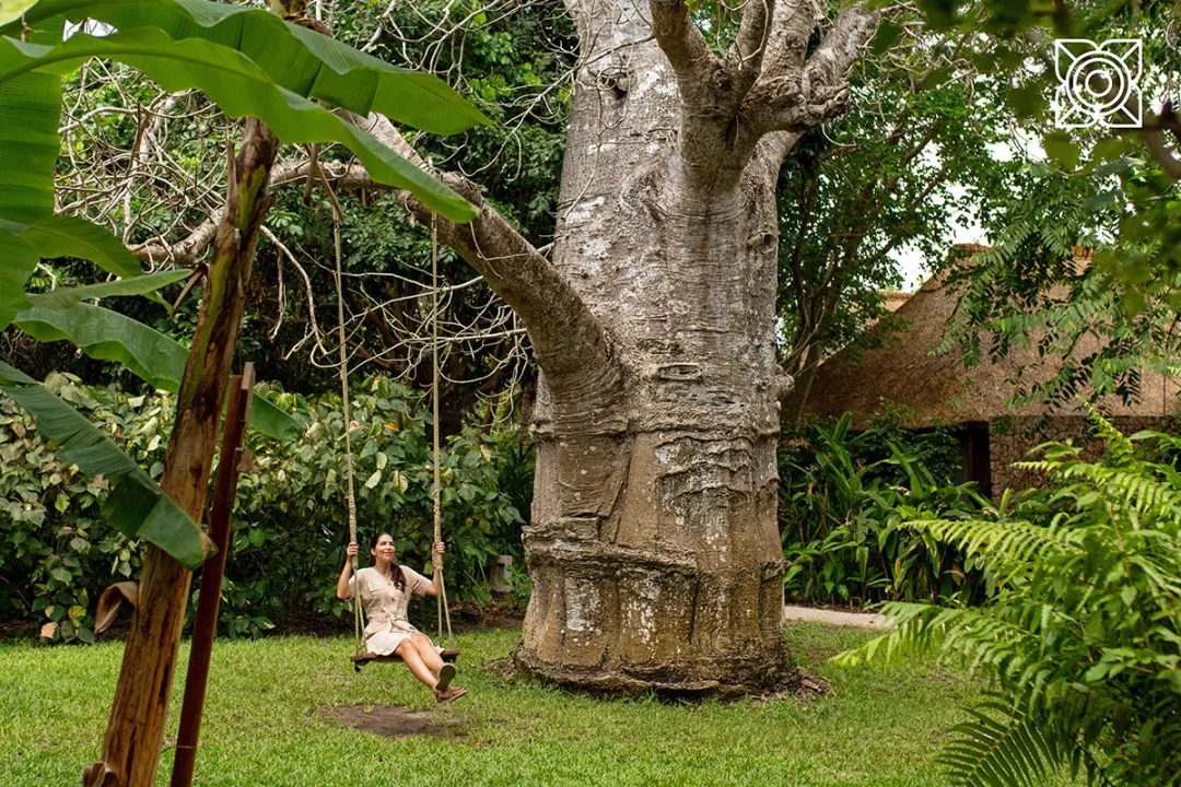 Zuri Zanzibar - Spice Garden Swing