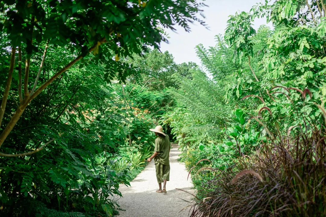 Zuri Zanzibar - Spice Garden