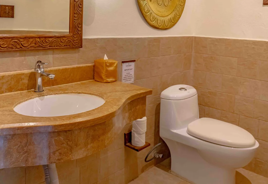 Deluxe Room - Bathroom