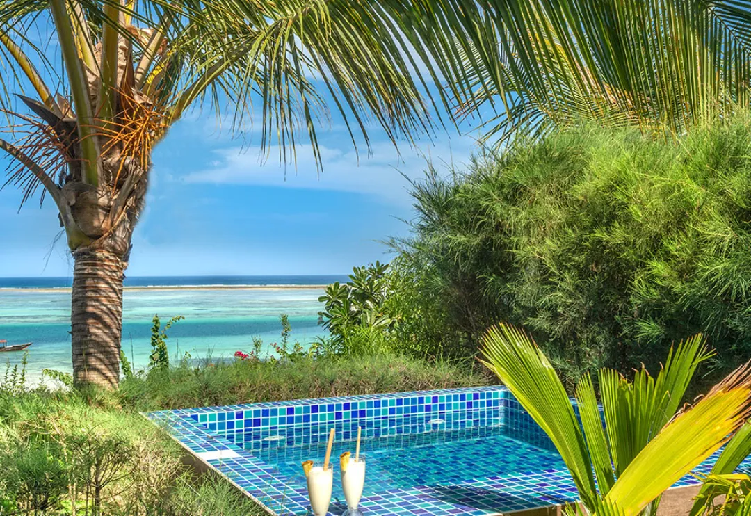 Zawadi Ocean Front Villa - Pool