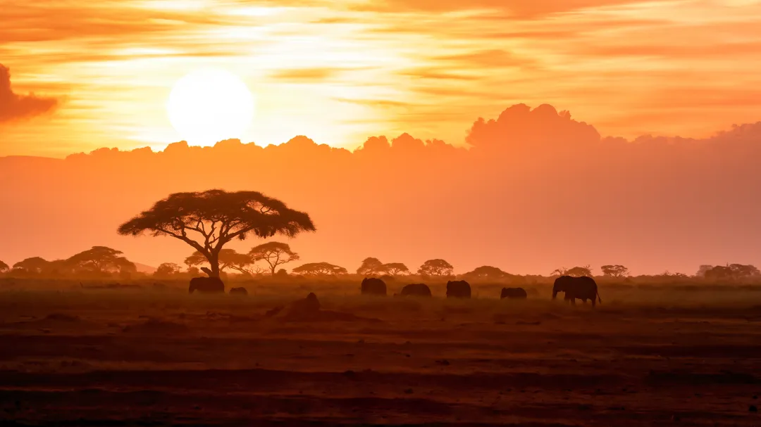 Africa