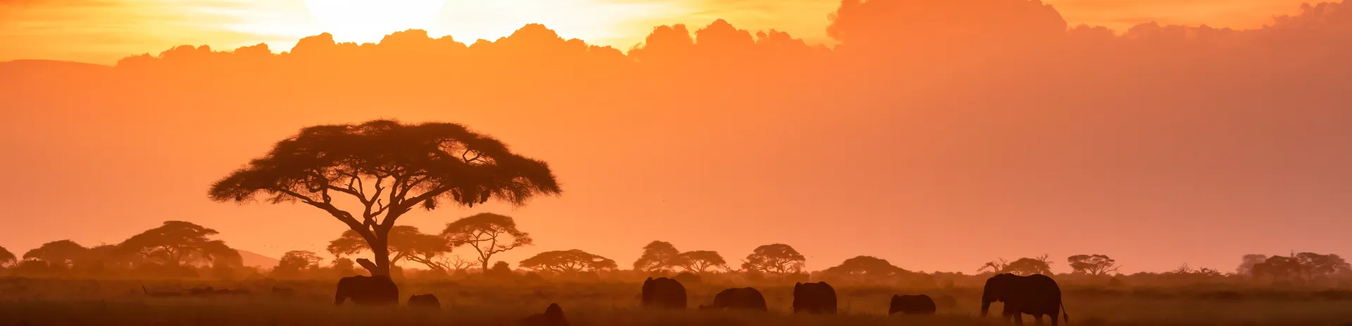 Africa Destination Image 