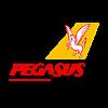 Pegasus