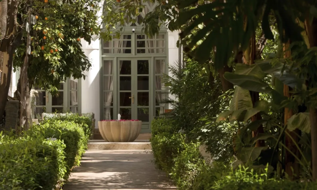 Les Jardins De La Medina - Garden View
