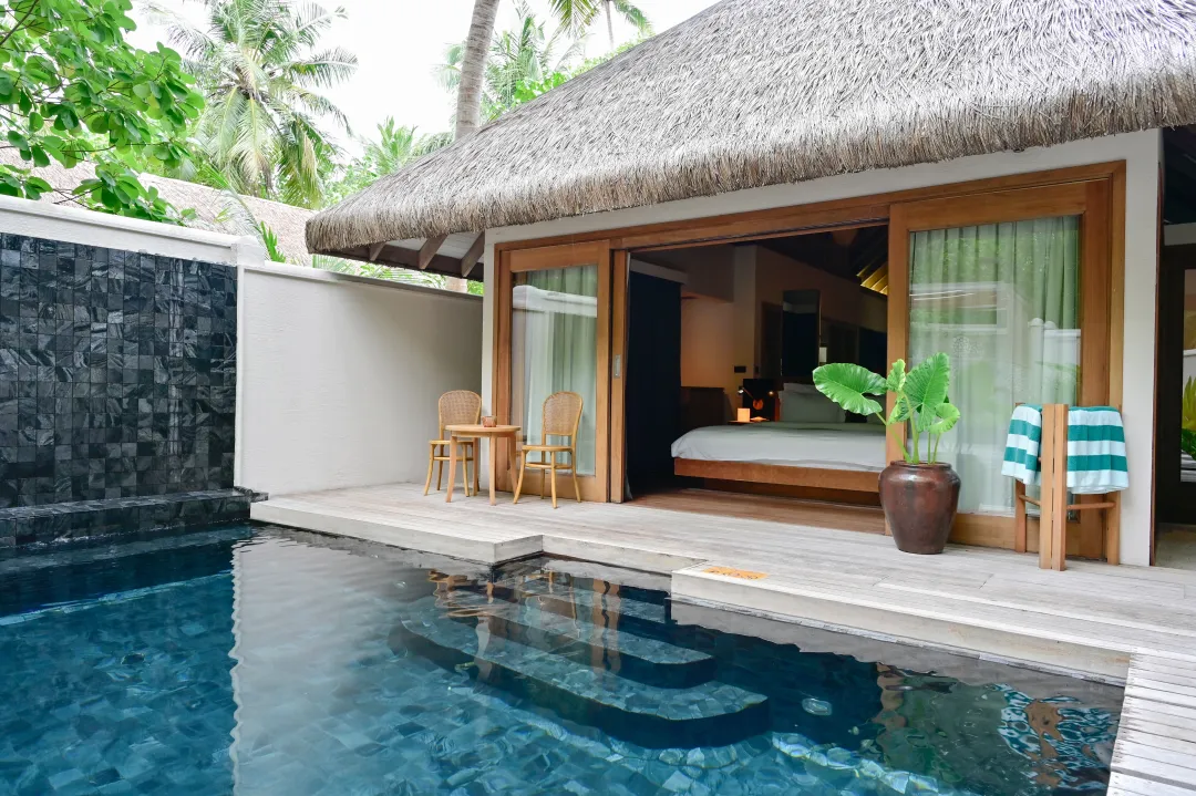 Grand Premier Beach Villa with Pool - Pool