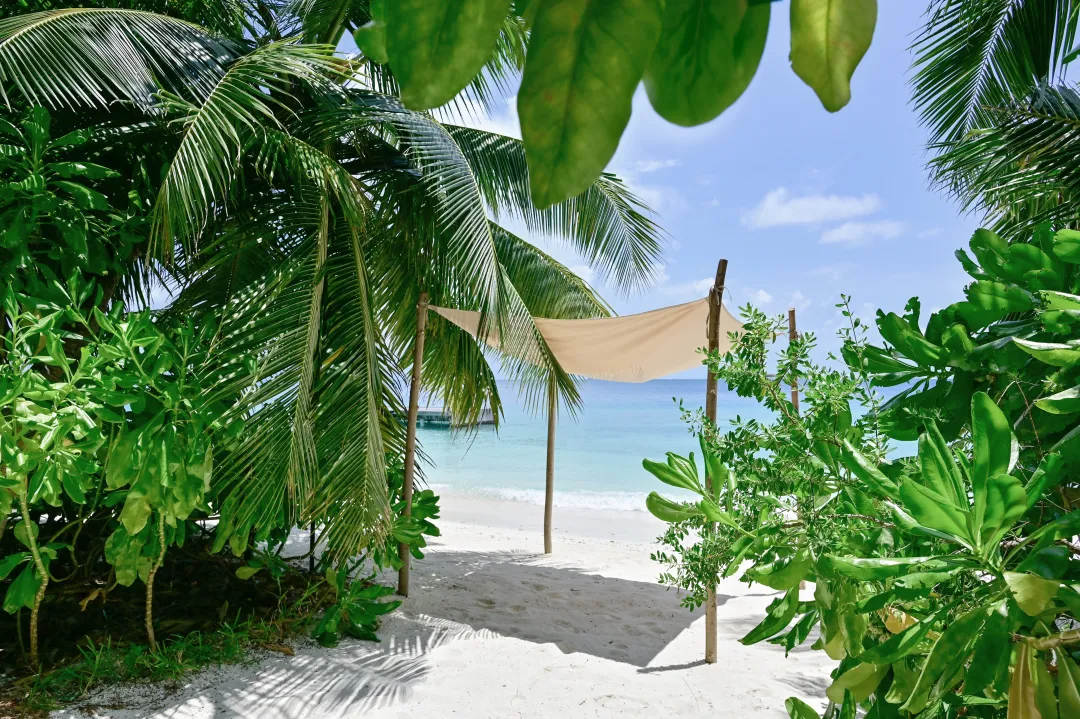 Grand Premier Beach Villa with Pool - Sea Access