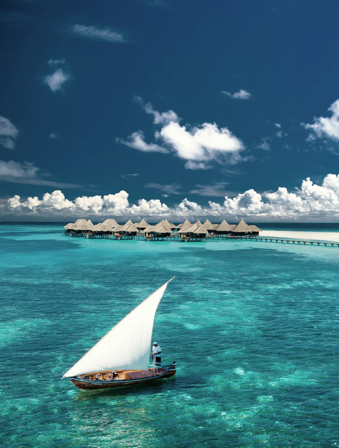 Coco Palm Dhuni Kolhu - Sea Aeria View