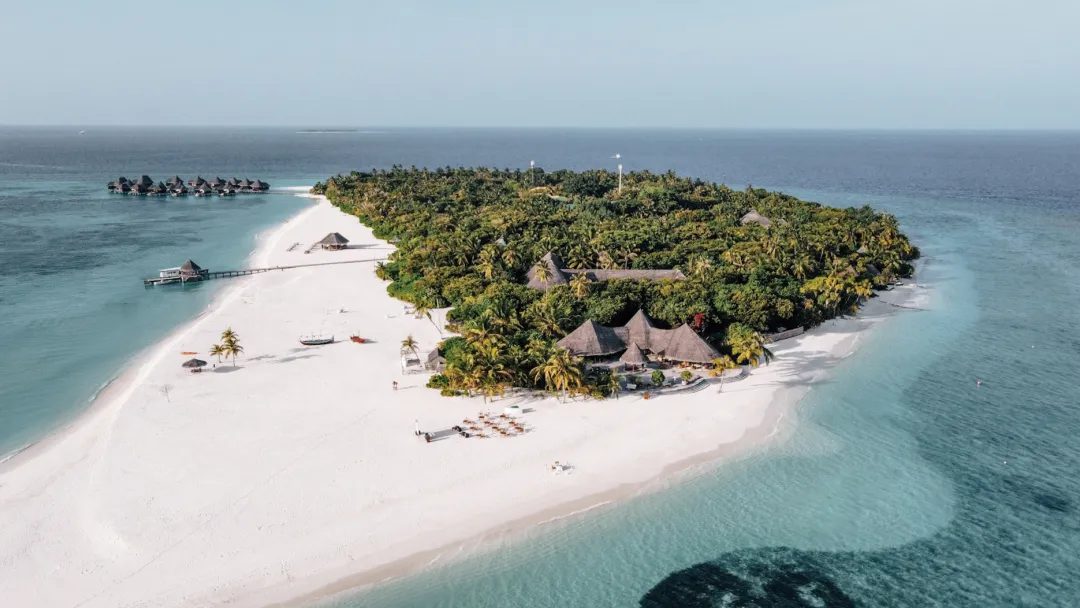 Coco Palm Dhuni Kolhu -Island View