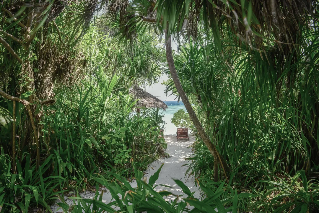 Deluxe Villa - Beach Access