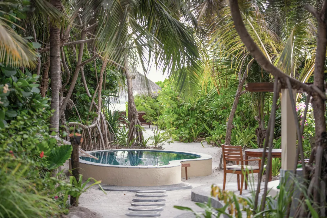 Deluxe Pool Villa - Pool View